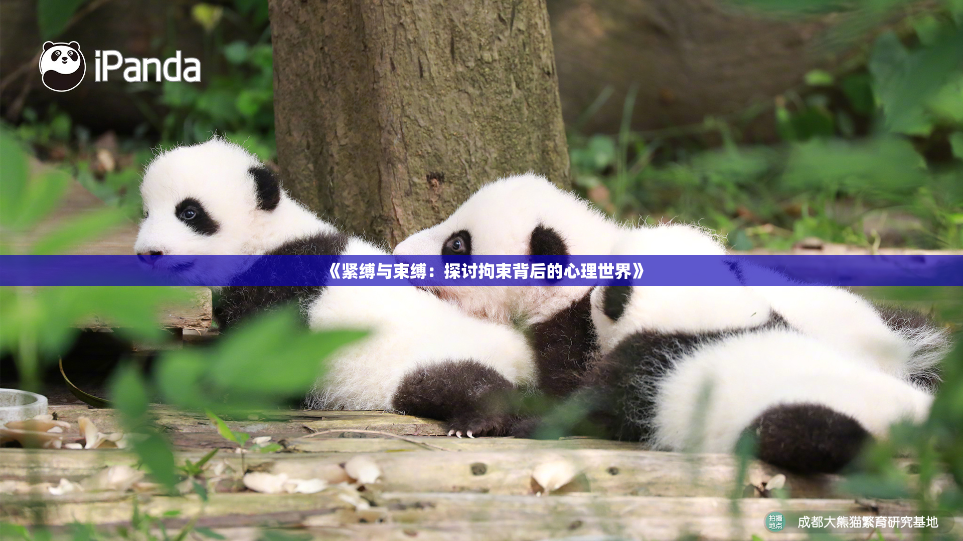 《紧缚与束缚：探讨拘束背后的心理世界》