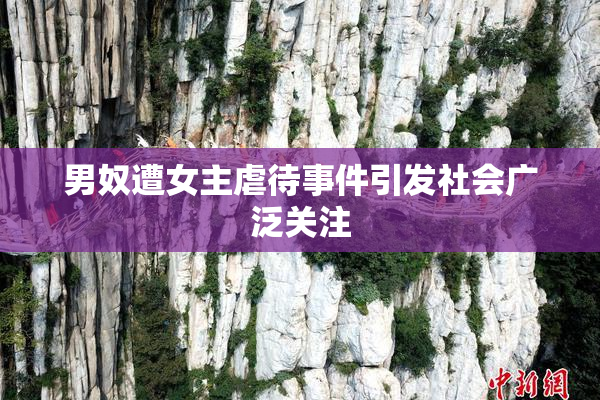男奴遭女主虐待事件引发社会广泛关注