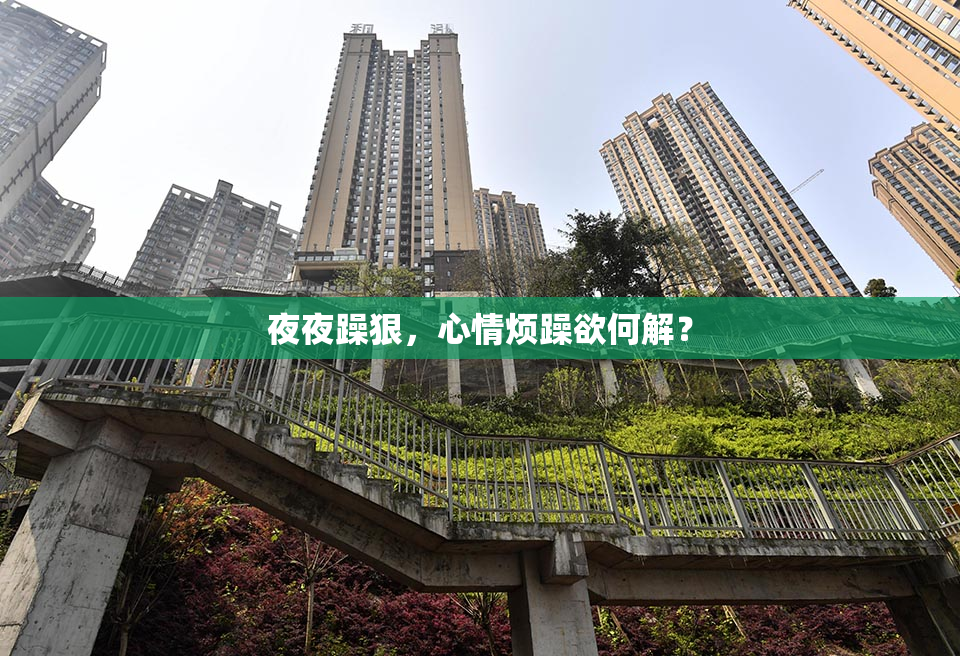 夜夜躁狠，心情烦躁欲何解？