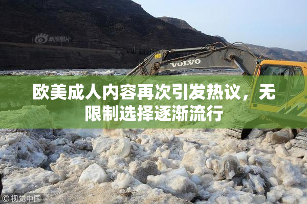 欧美成人内容再次引发热议，无限制选择逐渐流行