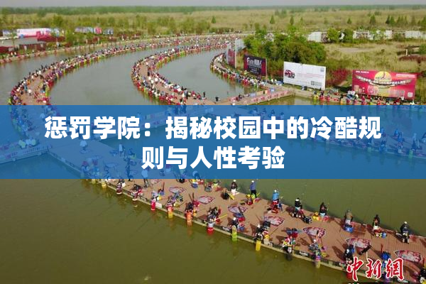 惩罚学院：揭秘校园中的冷酷规则与人性考验
