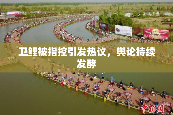 卫鲤被指控引发热议，舆论持续发酵