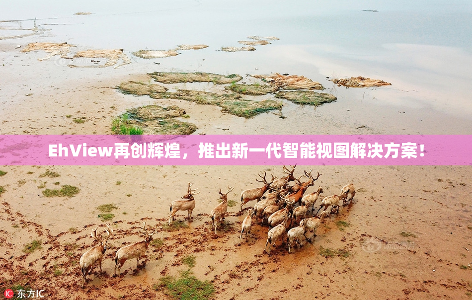 EhView再创辉煌，推出新一代智能视图解决方案！