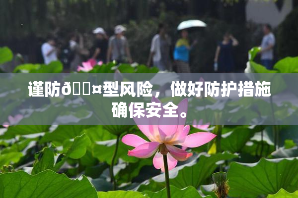 谨防🐤型风险，做好防护措施确保安全。