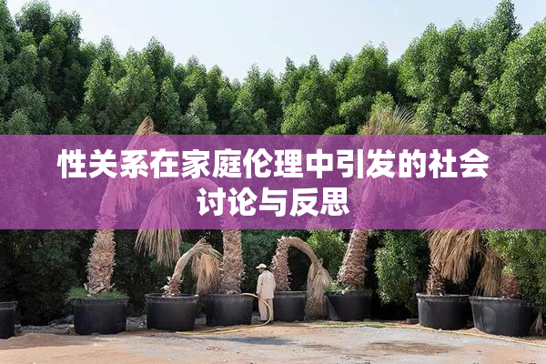 性关系在家庭伦理中引发的社会讨论与反思