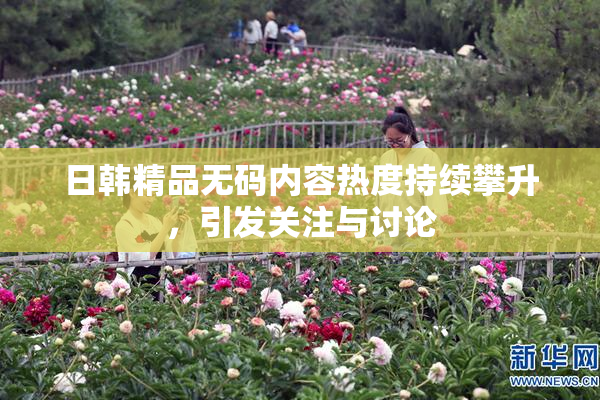 日韩精品无码内容热度持续攀升，引发关注与讨论