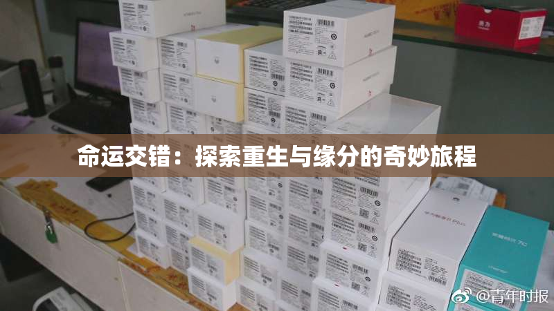 命运交错：探索重生与缘分的奇妙旅程