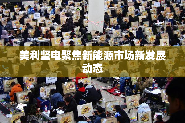 美利坚电聚焦新能源市场新发展动态