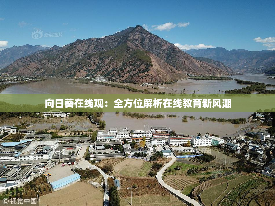 向日葵在线观：全方位解析在线教育新风潮