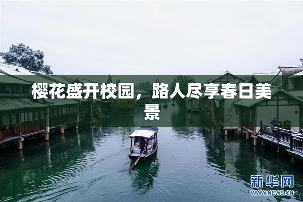 樱花盛开校园，路人尽享春日美景