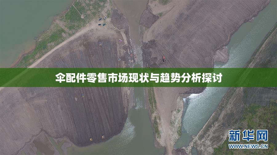 伞配件零售市场现状与趋势分析探讨