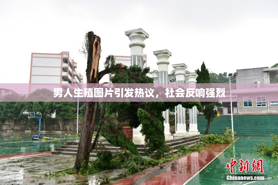 男人生殖图片引发热议，社会反响强烈