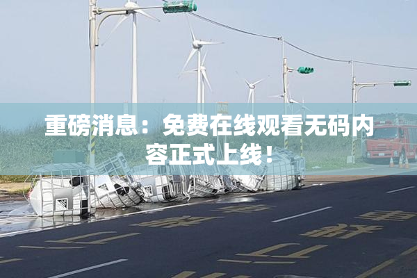 重磅消息：免费在线观看无码内容正式上线！
