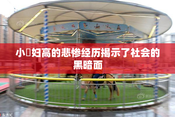 小婬妇高的悲惨经历揭示了社会的黑暗面