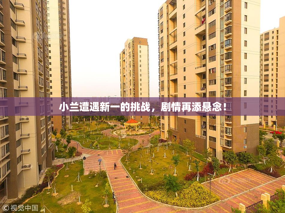 小兰遭遇新一的挑战，剧情再添悬念！
