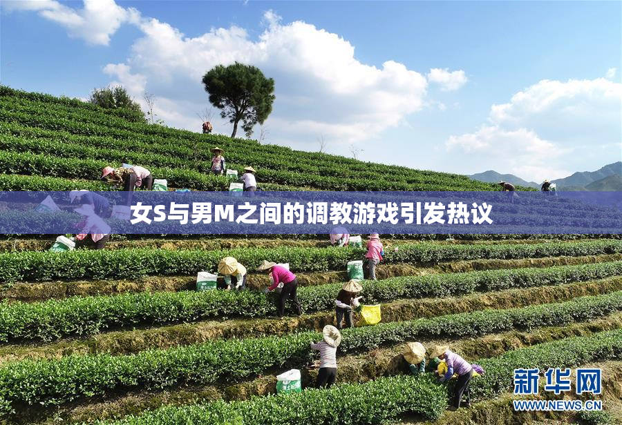女S与男M之间的调教游戏引发热议