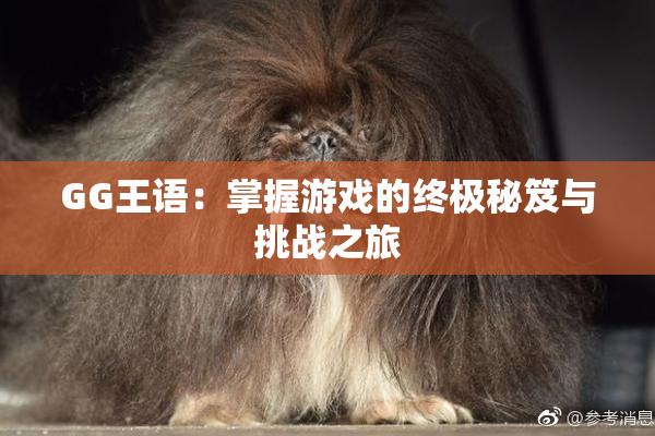 GG王语：掌握游戏的终极秘笈与挑战之旅