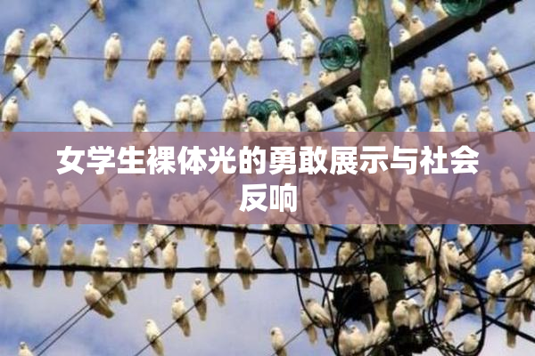 女学生裸体光的勇敢展示与社会反响