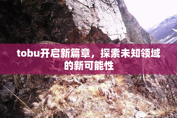 tobu开启新篇章，探索未知领域的新可能性