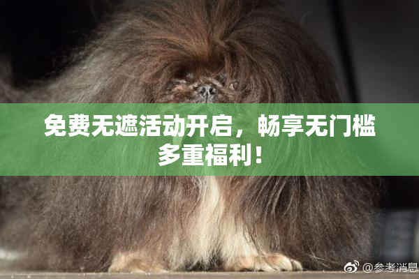 免费无遮活动开启，畅享无门槛多重福利！