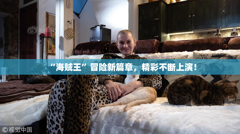 “海贼王”冒险新篇章，精彩不断上演！