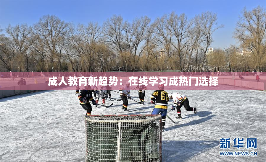 成人教育新趋势：在线学习成热门选择