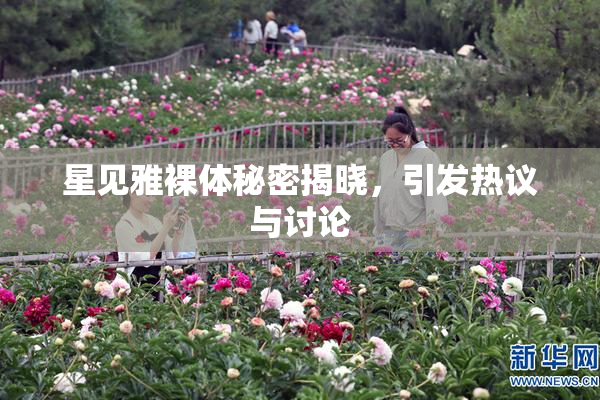 星见雅裸体秘密揭晓，引发热议与讨论