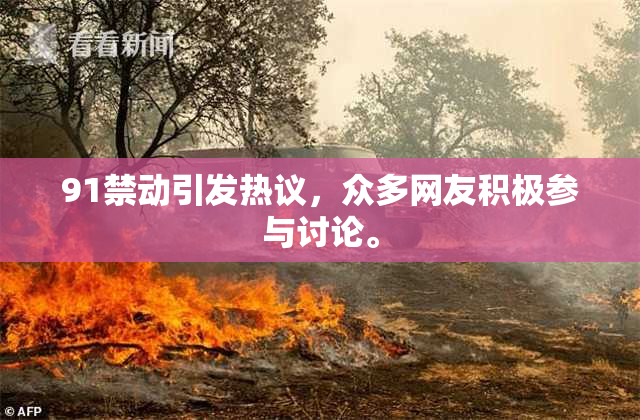 91禁动引发热议，众多网友积极参与讨论。