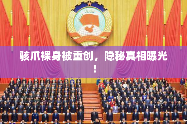 骇爪裸身被重创，隐秘真相曝光！