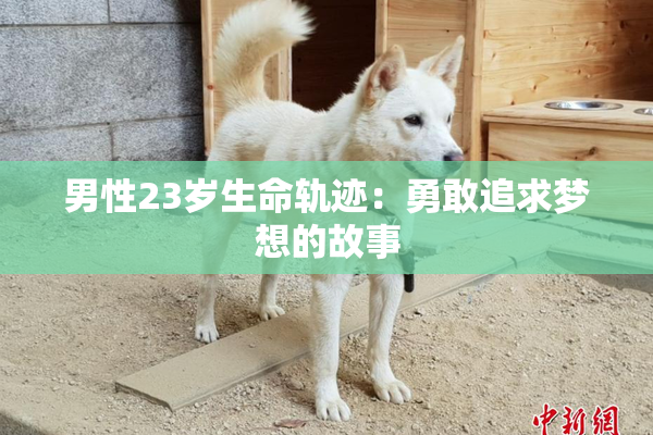 男性23岁生命轨迹：勇敢追求梦想的故事