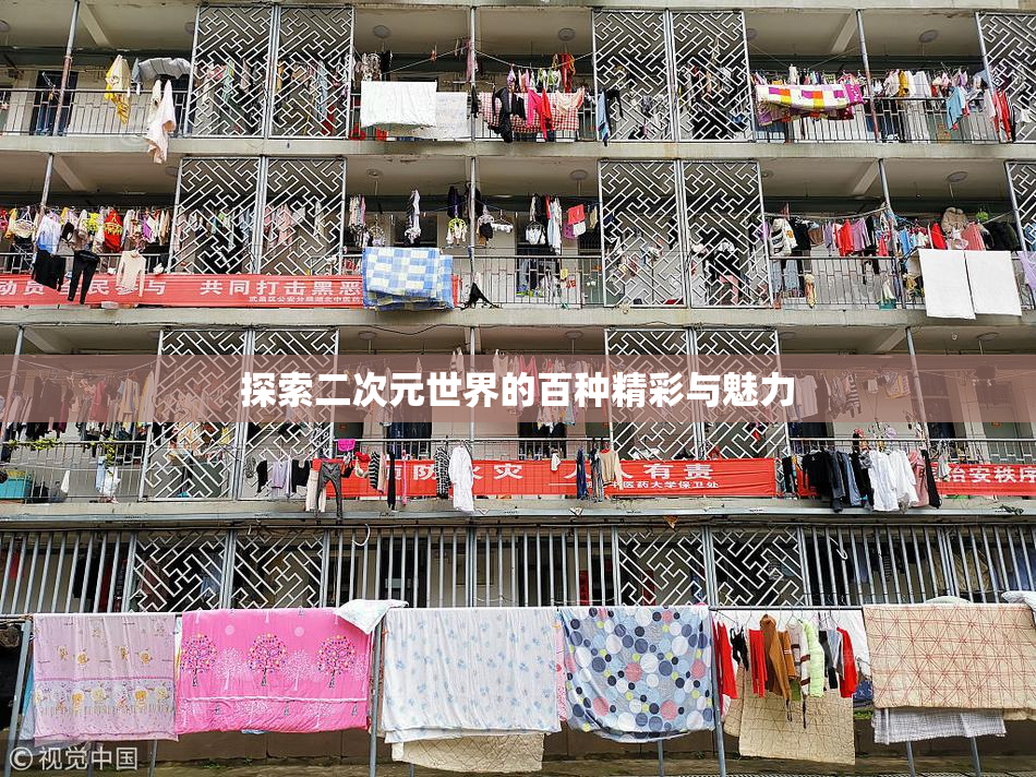 探索二次元世界的百种精彩与魅力