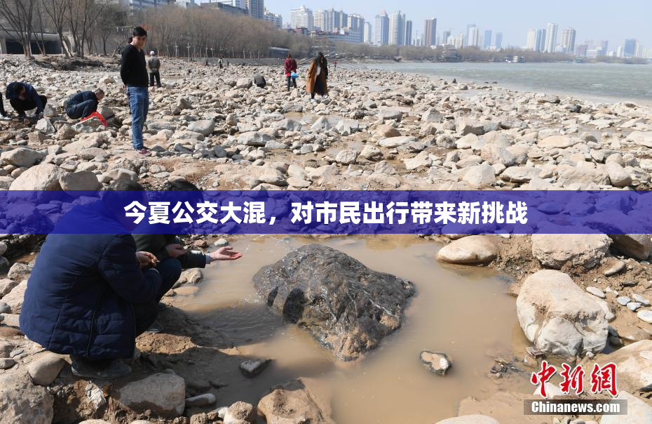 今夏公交大混，对市民出行带来新挑战