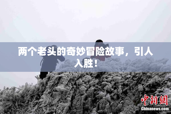 两个老头的奇妙冒险故事，引人入胜！