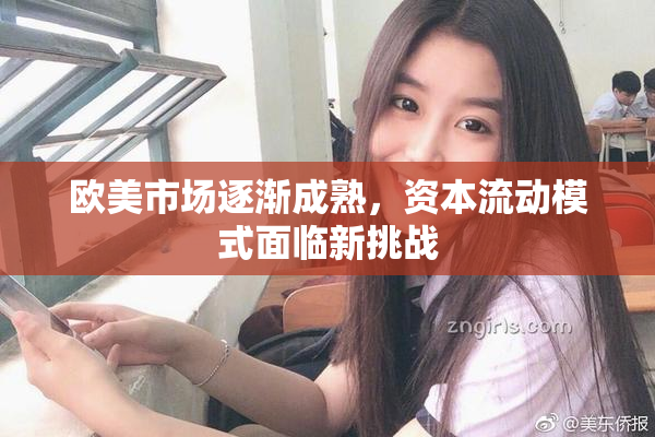 欧美市场逐渐成熟，资本流动模式面临新挑战