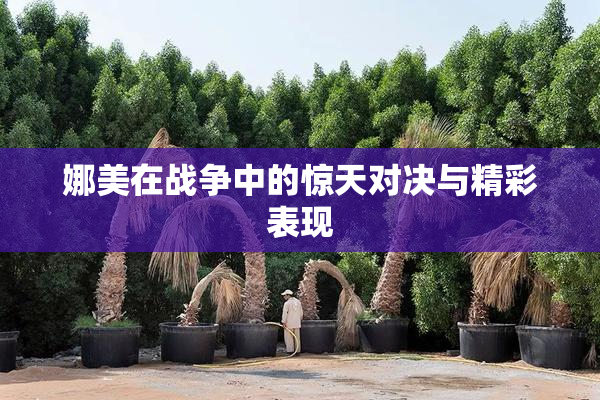 娜美在战争中的惊天对决与精彩表现