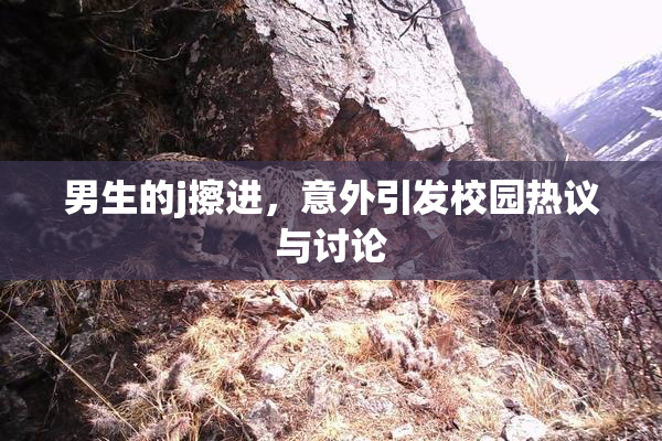 男生的j擦进，意外引发校园热议与讨论