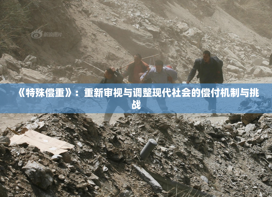 《特殊偿重》：重新审视与调整现代社会的偿付机制与挑战