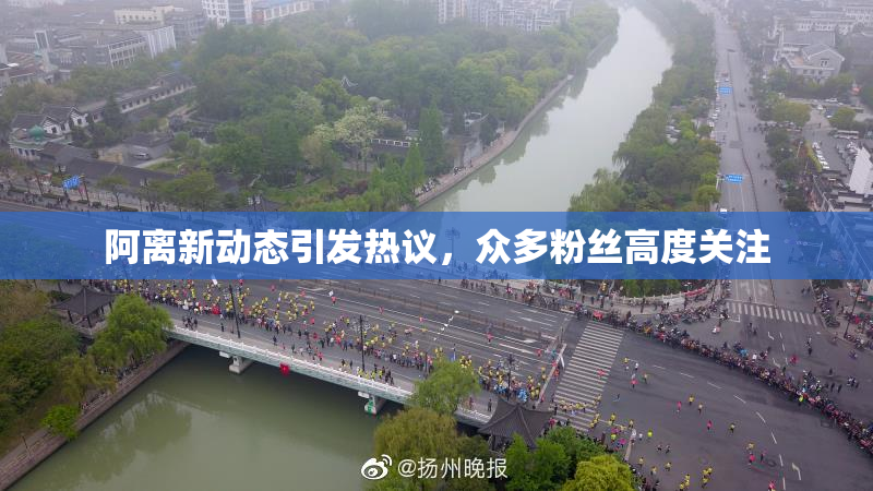 阿离新动态引发热议，众多粉丝高度关注