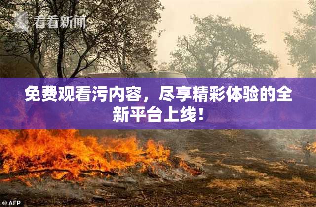 免费观看污内容，尽享精彩体验的全新平台上线！