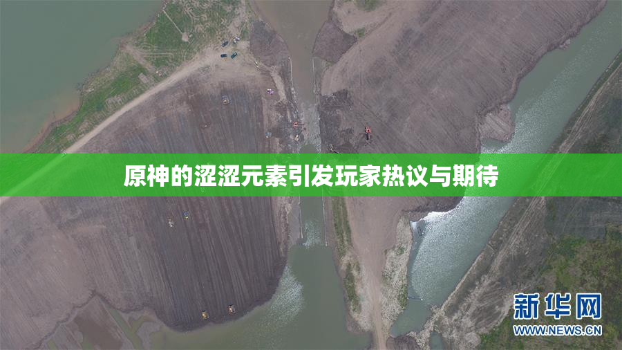 原神的涩涩元素引发玩家热议与期待