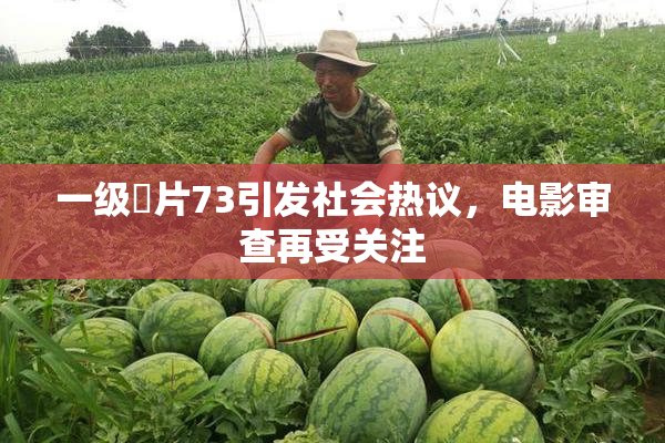 一级婬片73引发社会热议，电影审查再受关注
