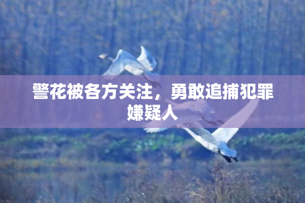 警花被各方关注，勇敢追捕犯罪嫌疑人
