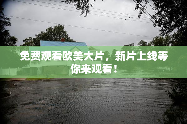 免费观看欧美大片，新片上线等你来观看！
