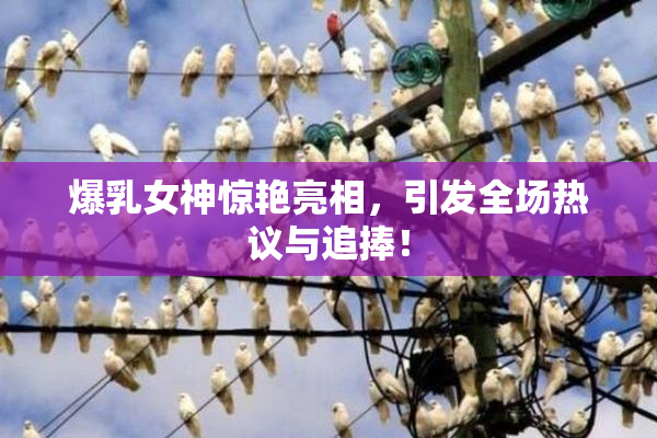 爆乳女神惊艳亮相，引发全场热议与追捧！