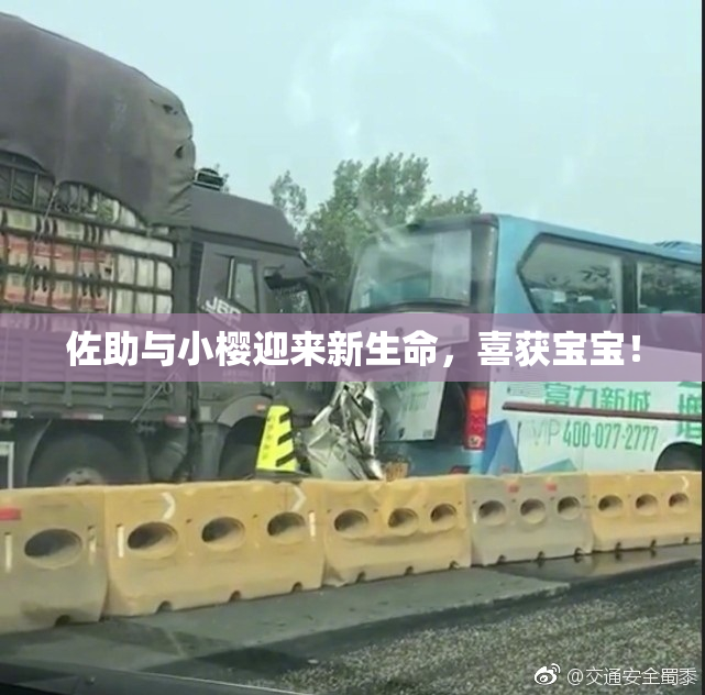 佐助与小樱迎来新生命，喜获宝宝！