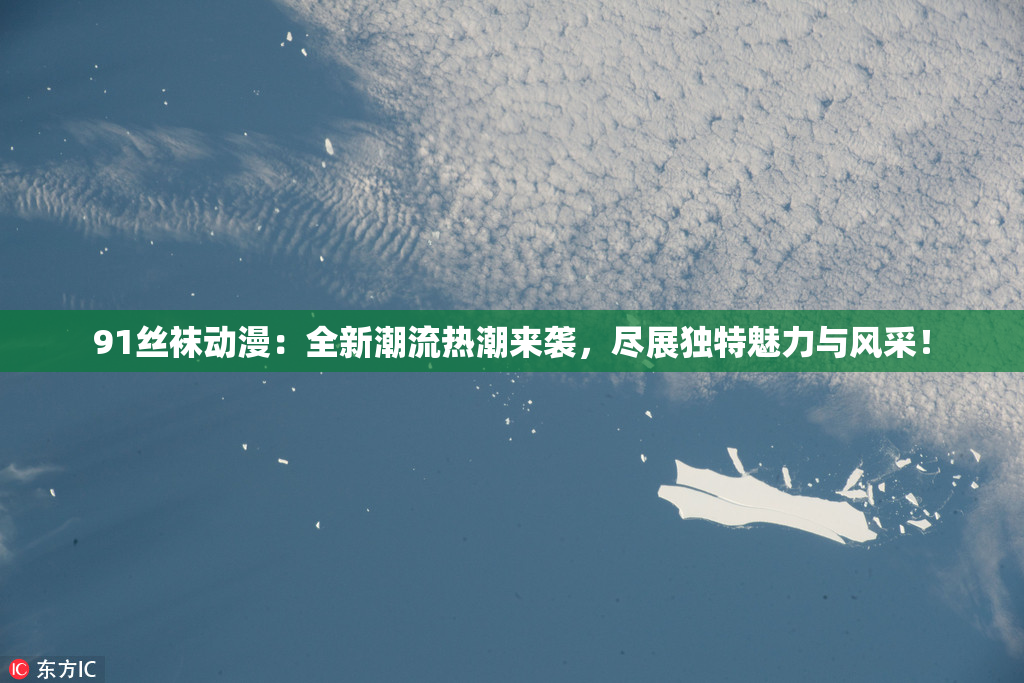 91丝袜动漫：全新潮流热潮来袭，尽展独特魅力与风采！