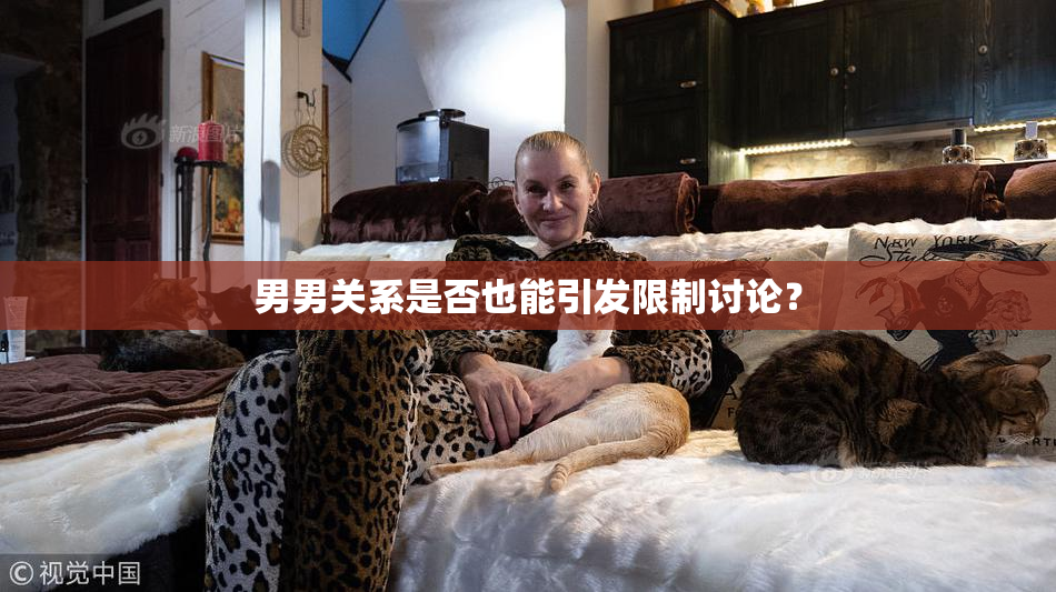 男男关系是否也能引发限制讨论？