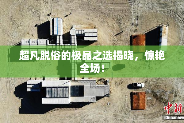 超凡脱俗的极品之选揭晓，惊艳全场！