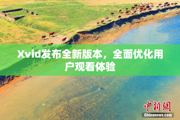 Xvid发布全新版本，全面优化用户观看体验