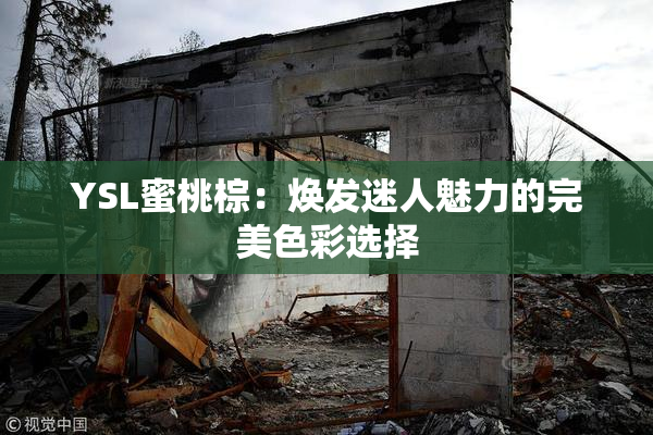 YSL蜜桃棕：焕发迷人魅力的完美色彩选择